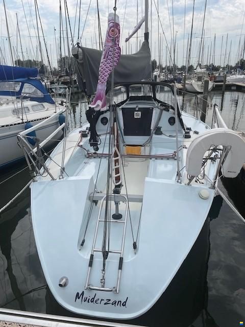Hunter HB31