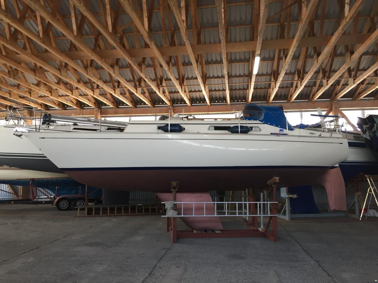 Carter 30