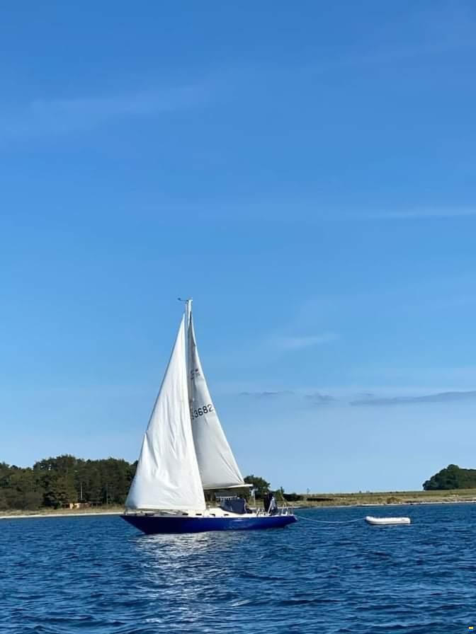 OE Oe36