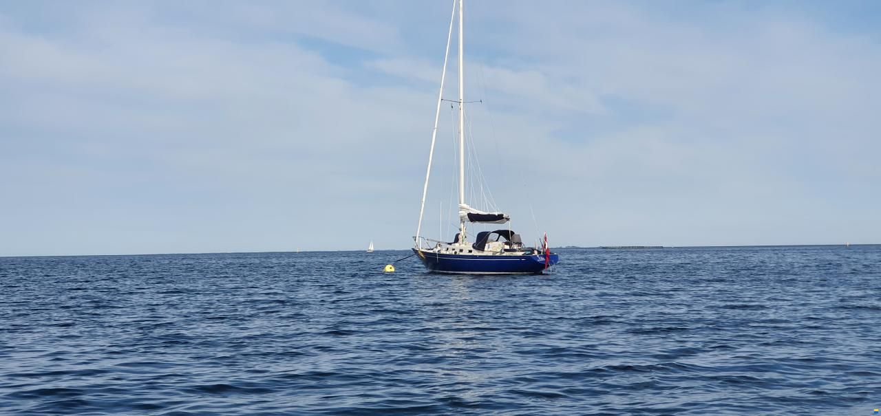OE Oe36