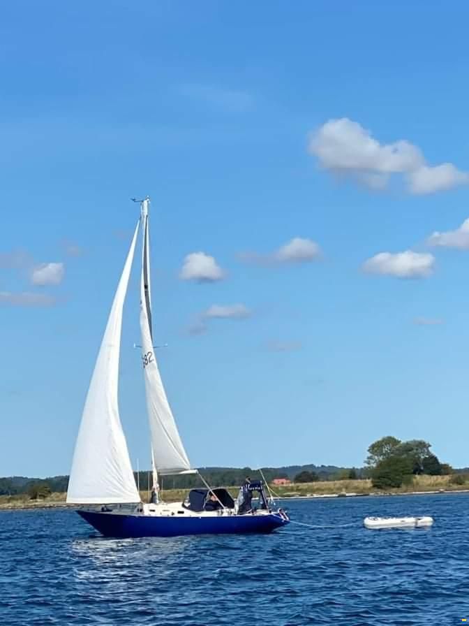 OE Oe36