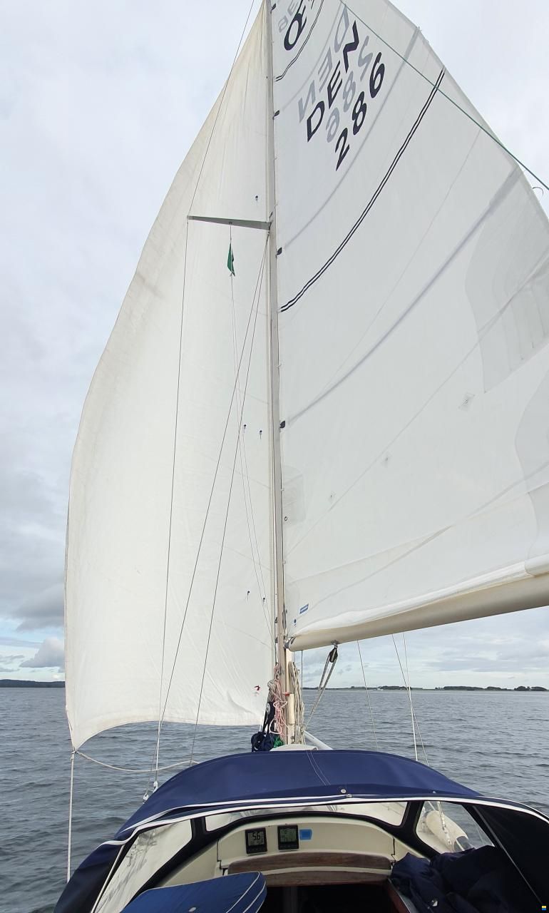 OE Oe36