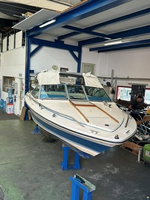 Sea Ray Monaco
