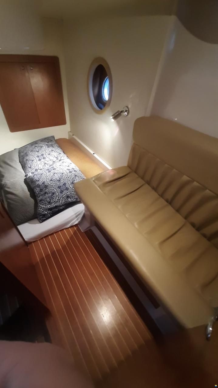 Sessa DORADO 32