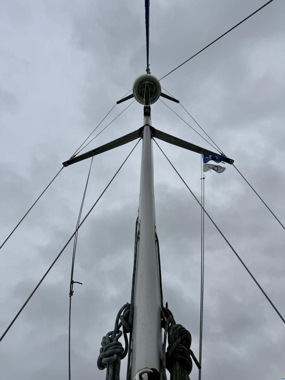 Bavaria 39