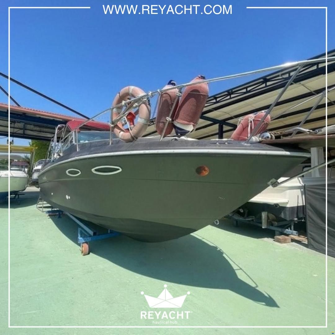 Sea Ray Amberjack 270