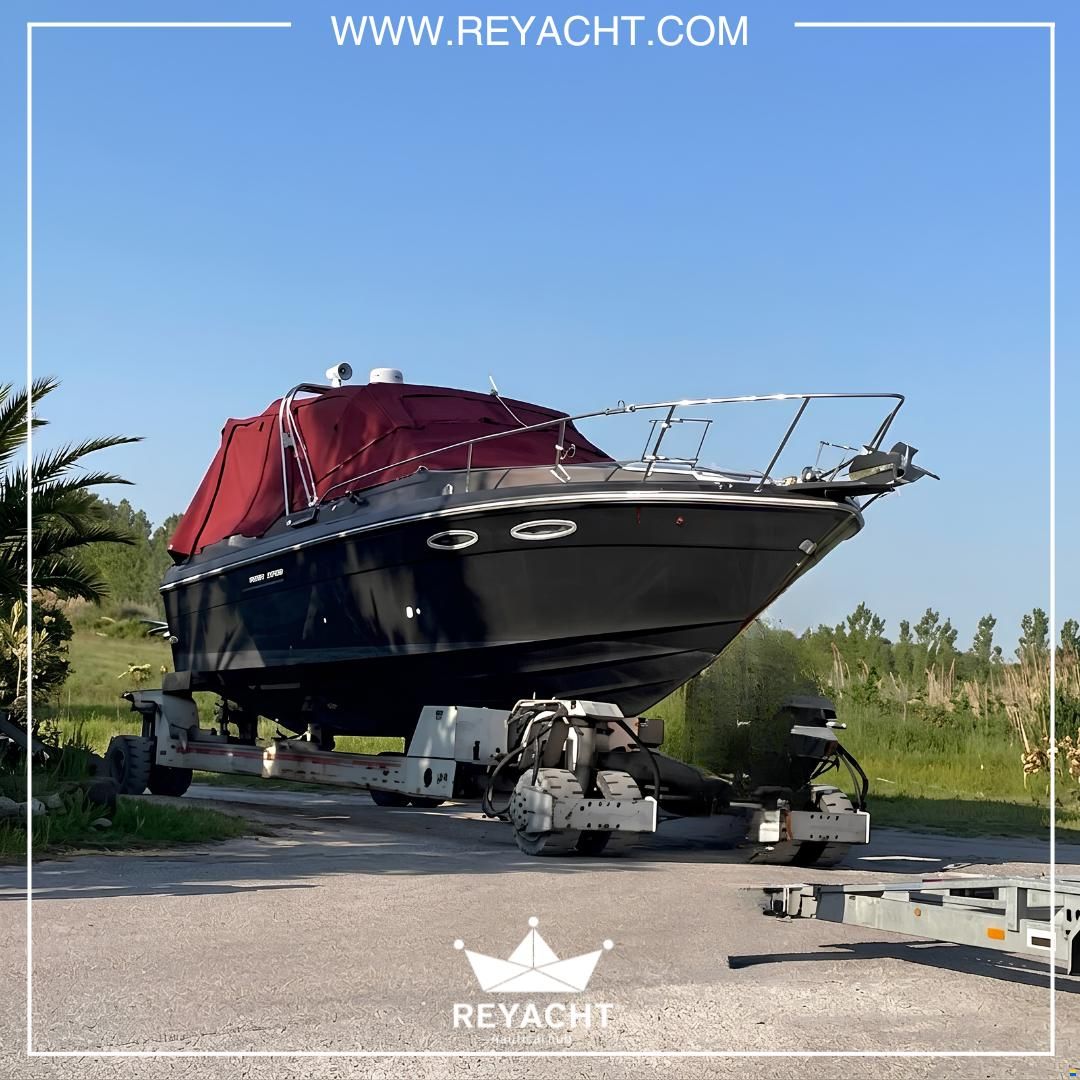 Sea Ray Amberjack 270