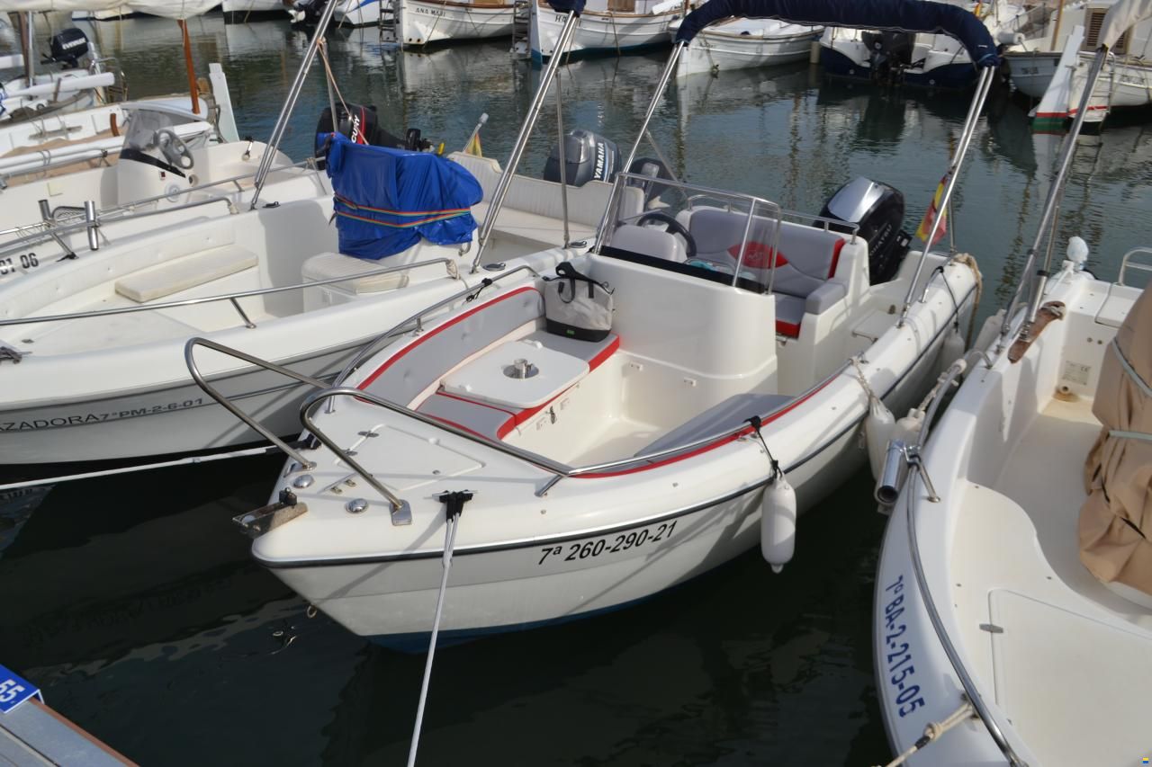 Pegazus 460