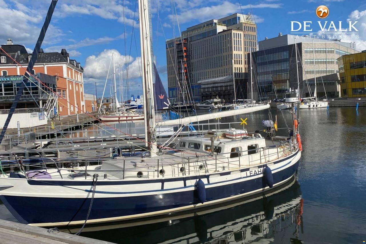 Danish Rose 42