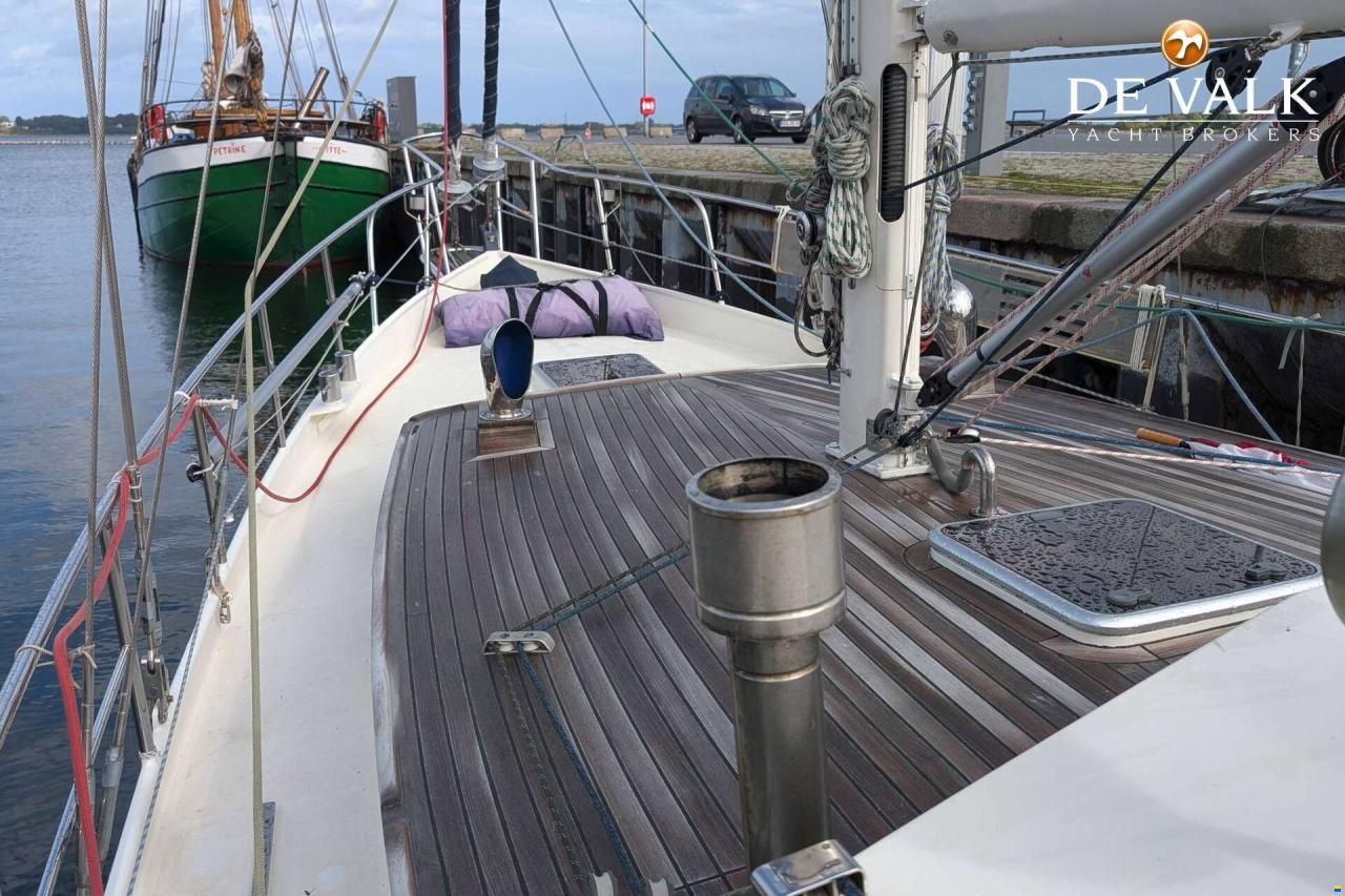 Danish Rose 42