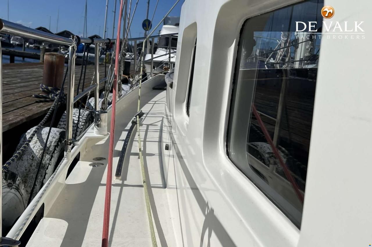 Danish Rose 42