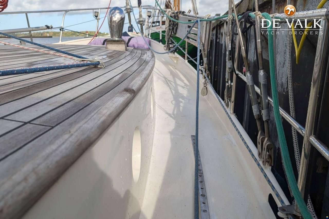 Danish Rose 42