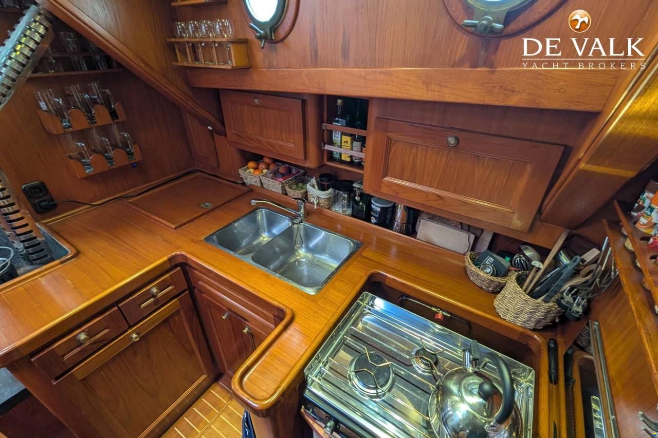 Danish Rose 42