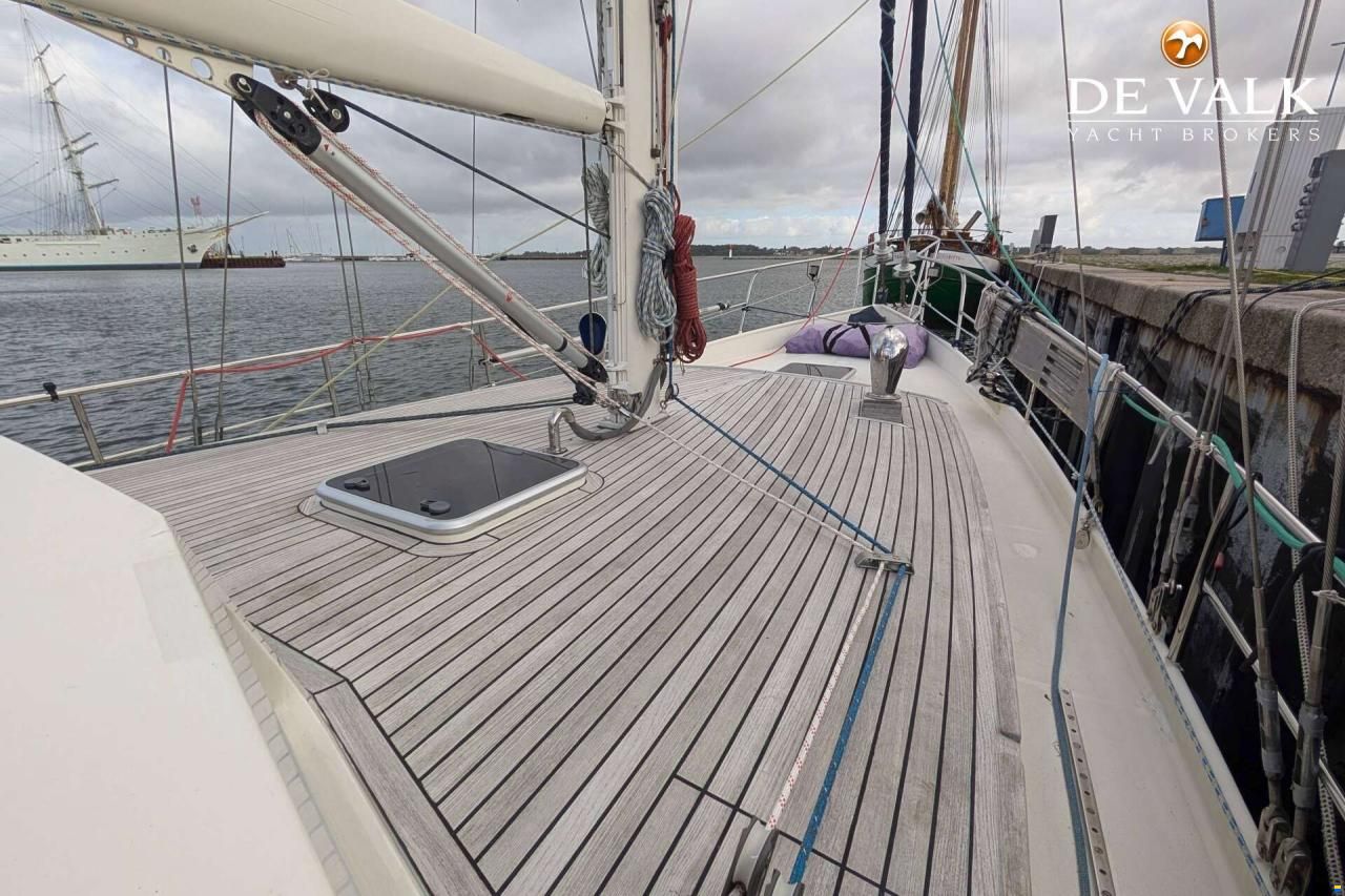Danish Rose 42