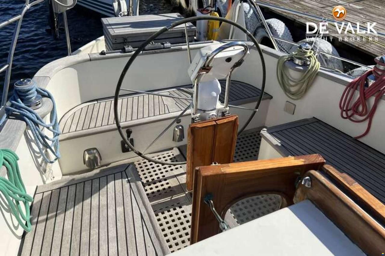 Danish Rose 42