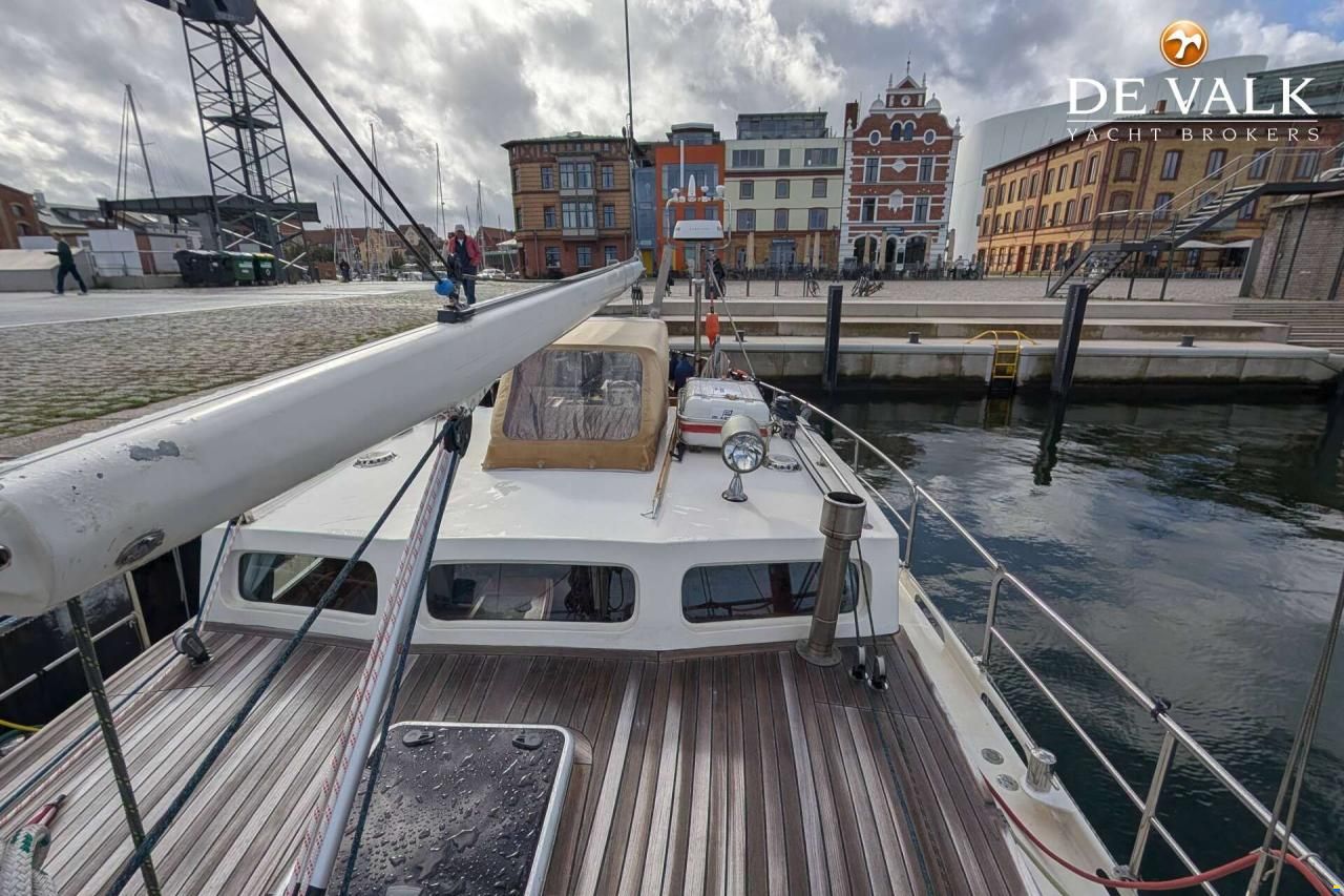 Danish Rose 42
