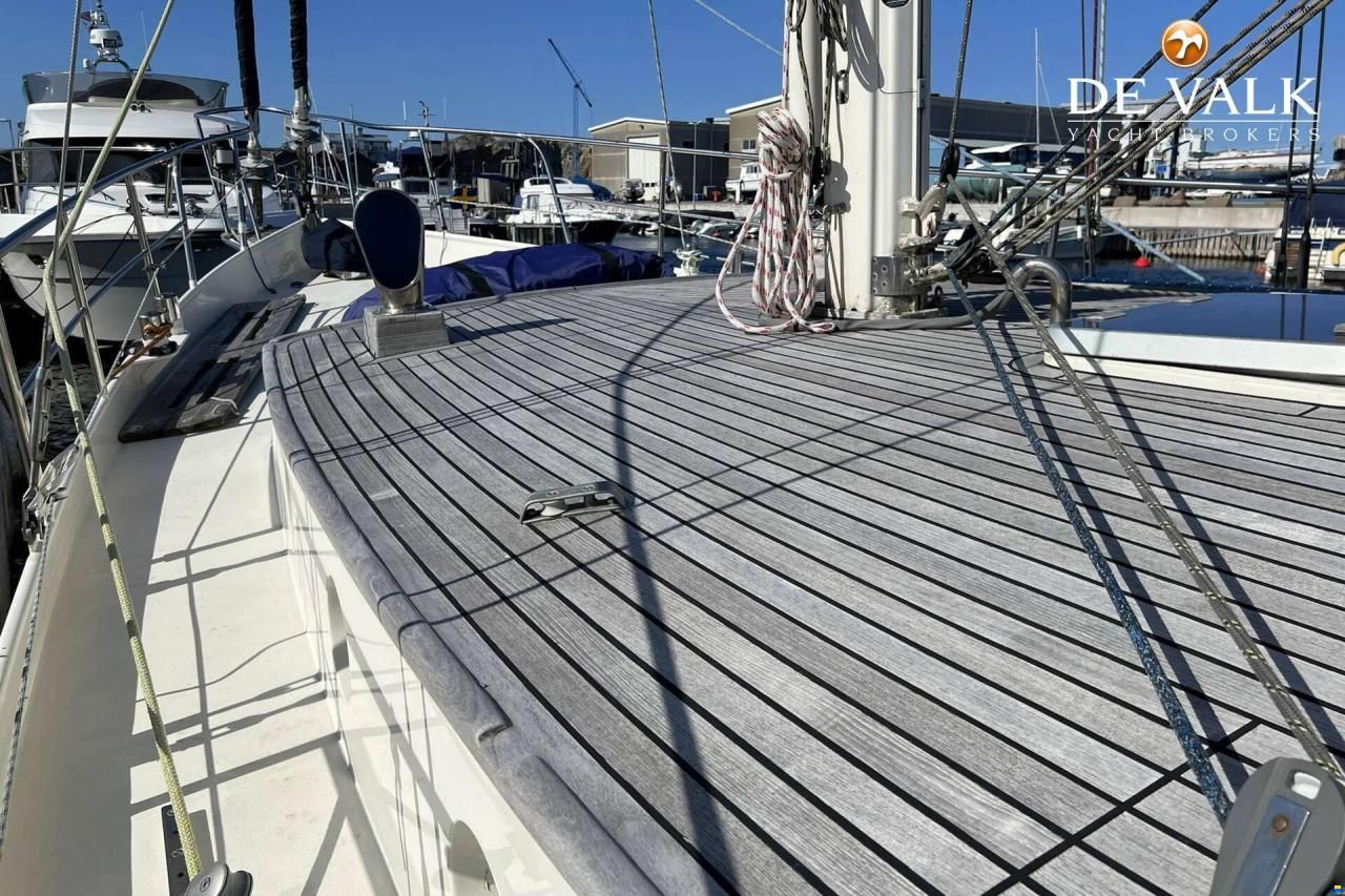 Danish Rose 42