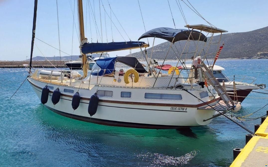 Colvic Victor 41