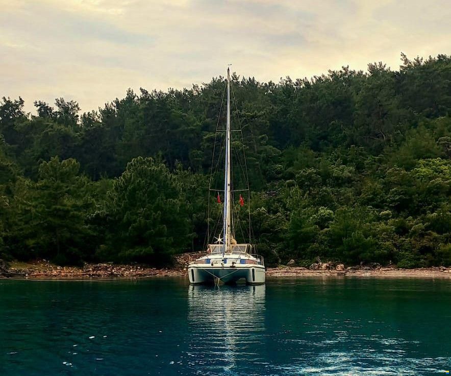 Prout Snowgoose 37 Elite