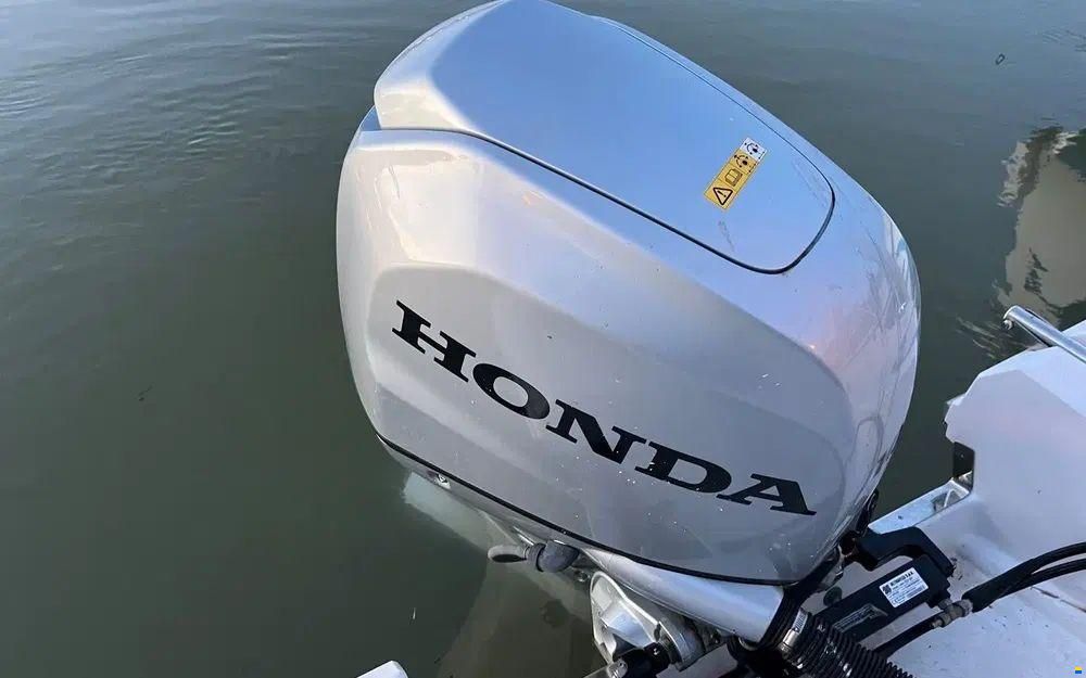 Ranieri Shadow 19