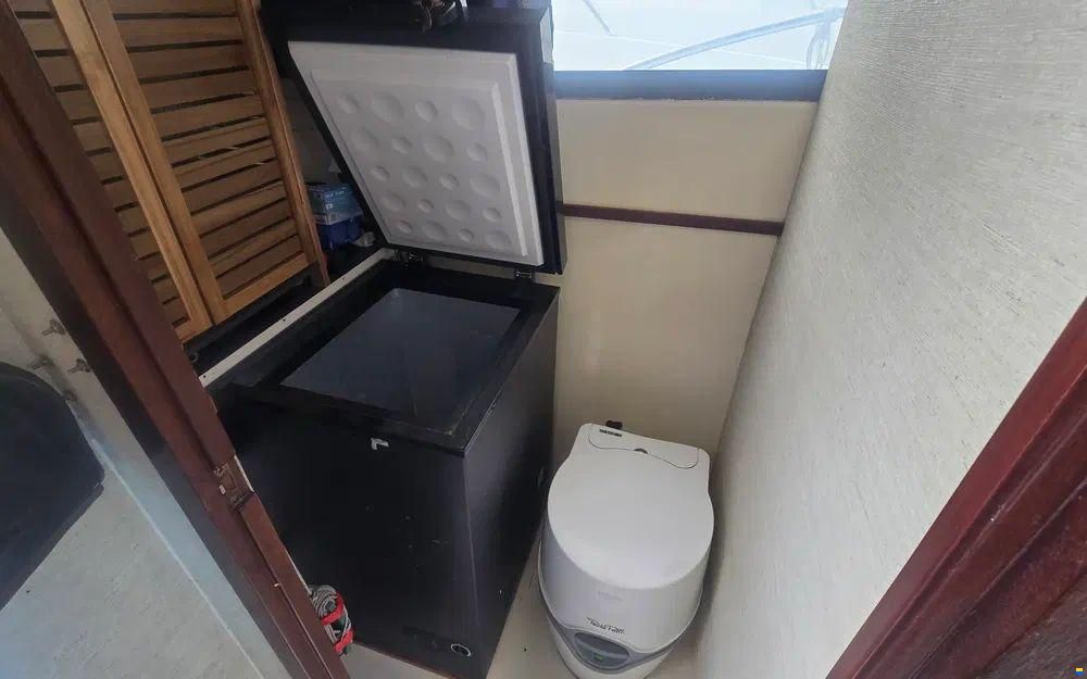 Seabird Condor 29