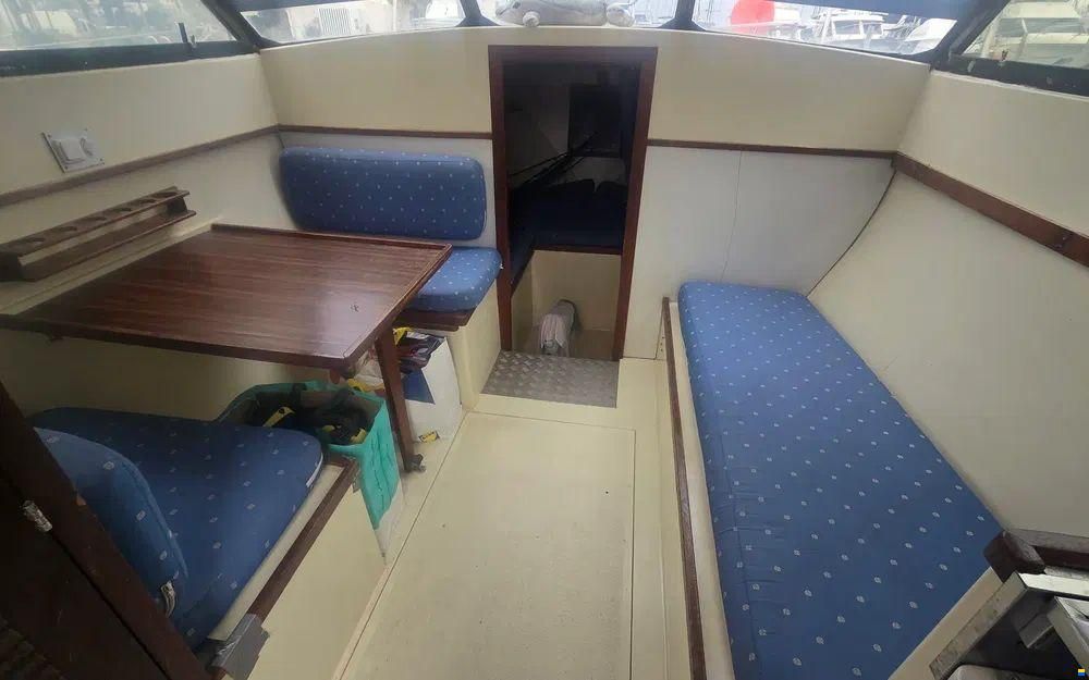 Seabird Condor 29