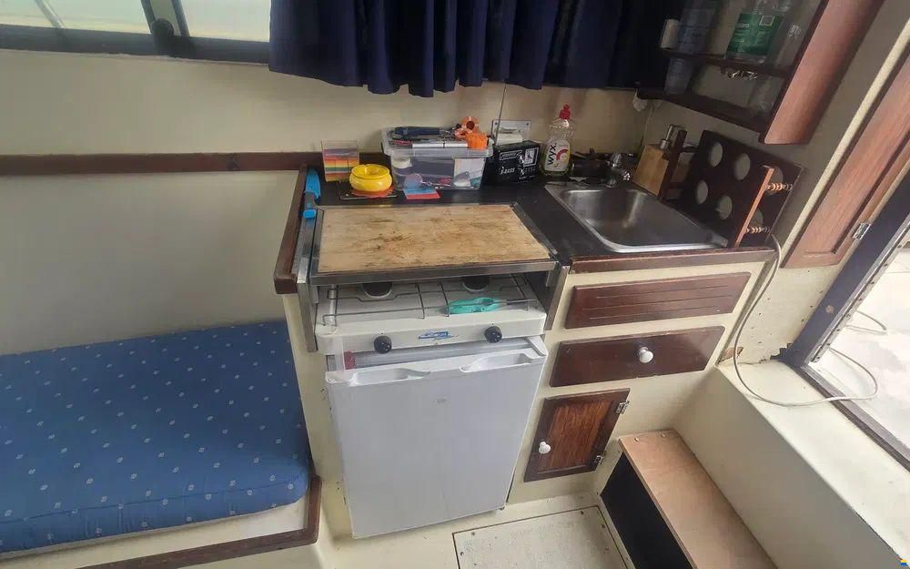 Seabird Condor 29