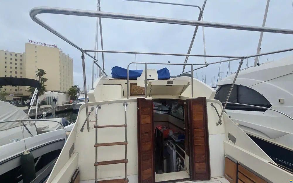 Seabird Condor 29