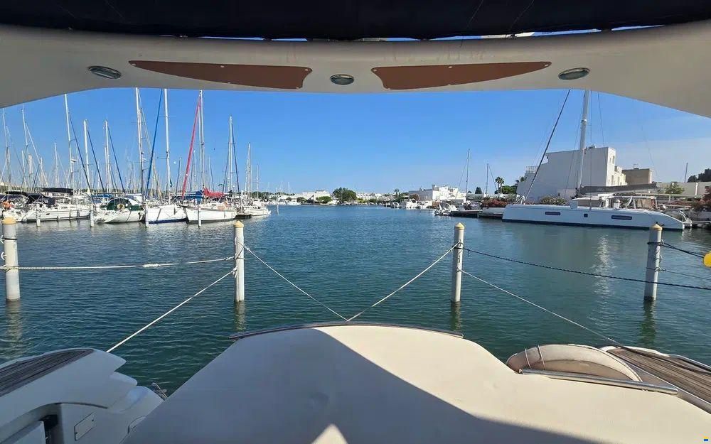 Sessa C42