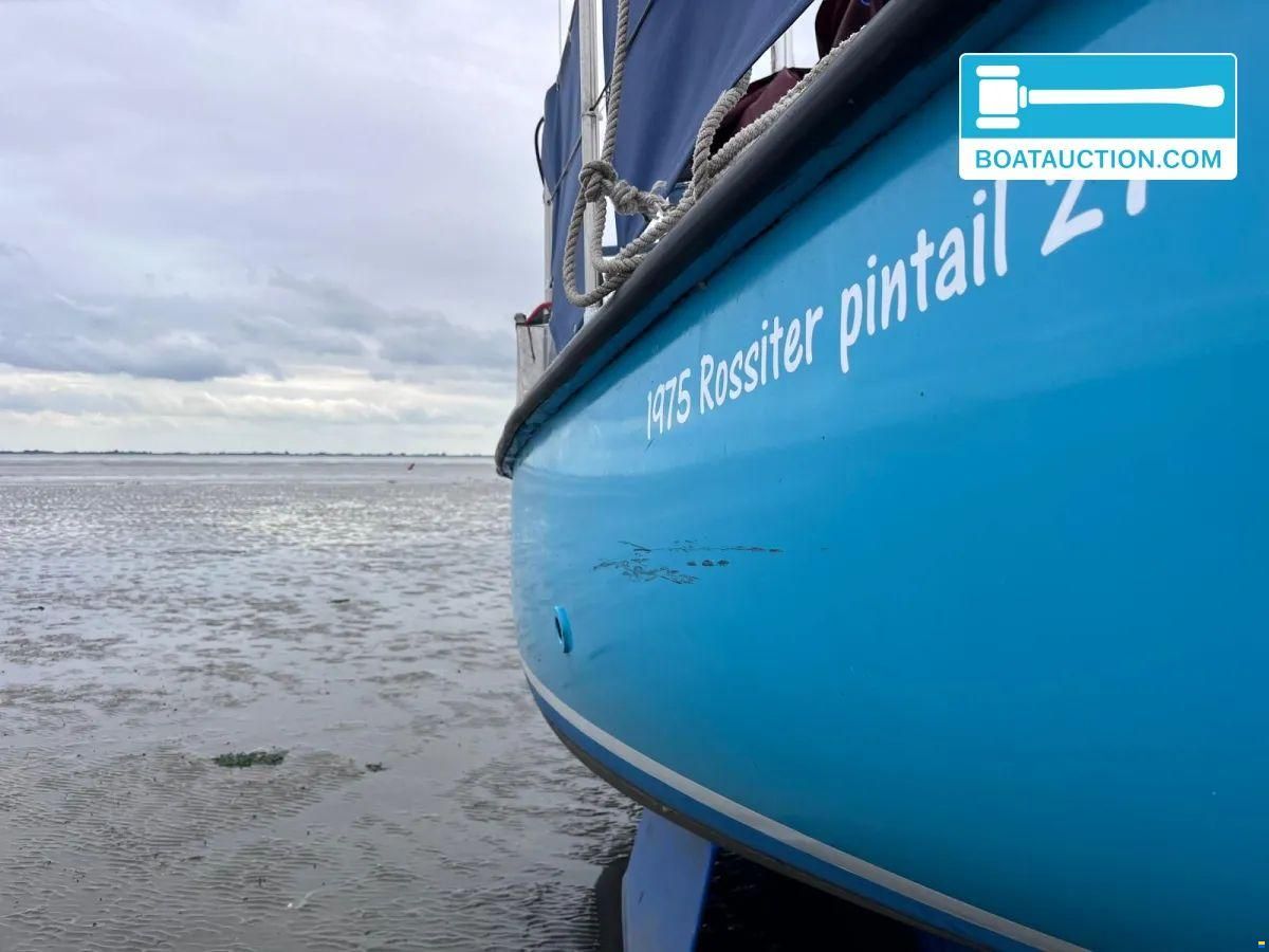 Rossiter Pintail 27