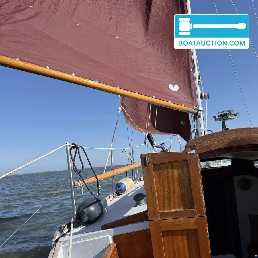 Rossiter Pintail 27