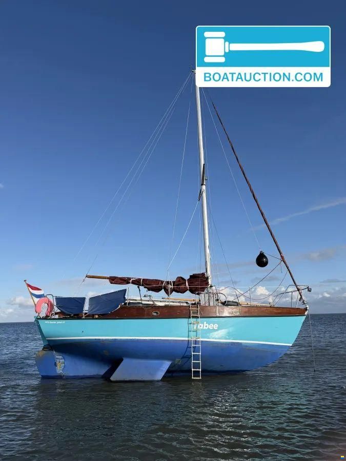 Rossiter Pintail 27
