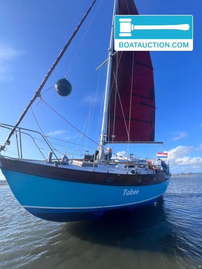 Rossiter Pintail 27