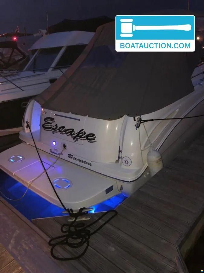 Sea Ray Amberjack 315