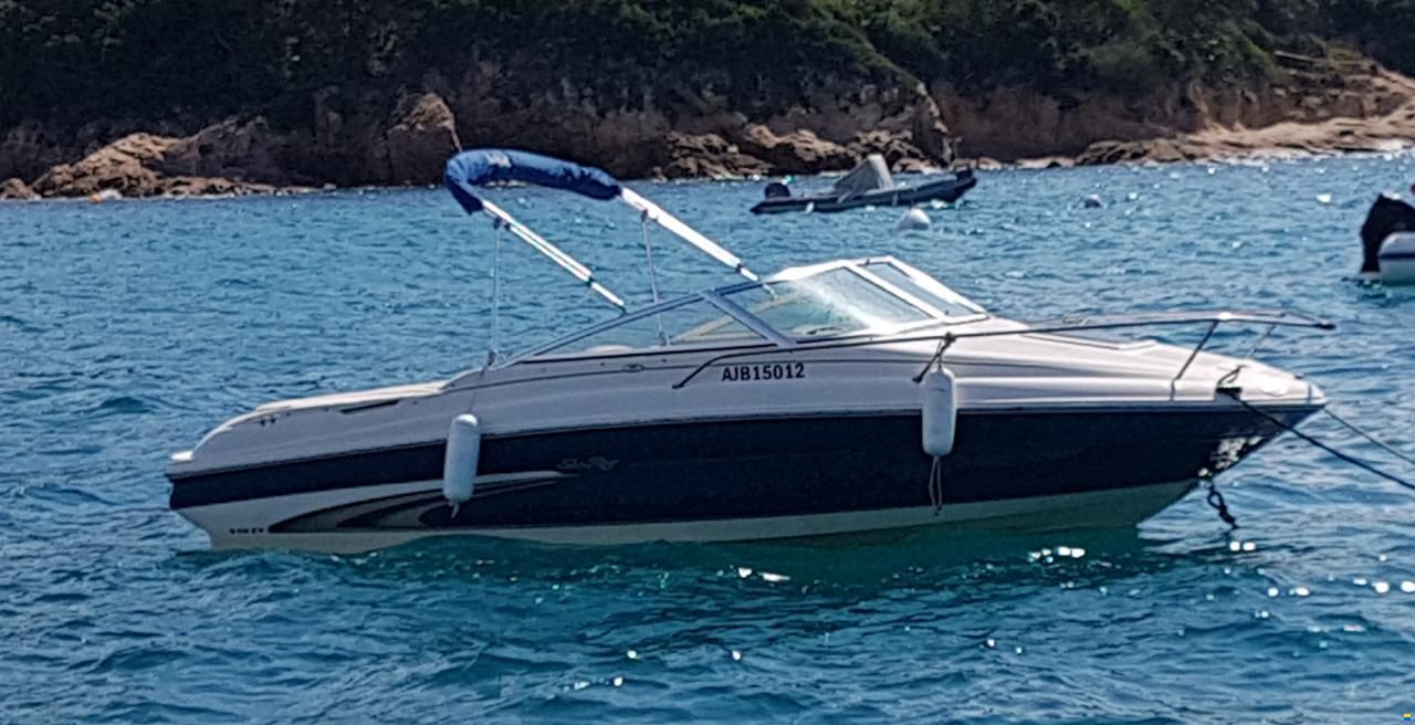 Sea Ray 190cc Signature