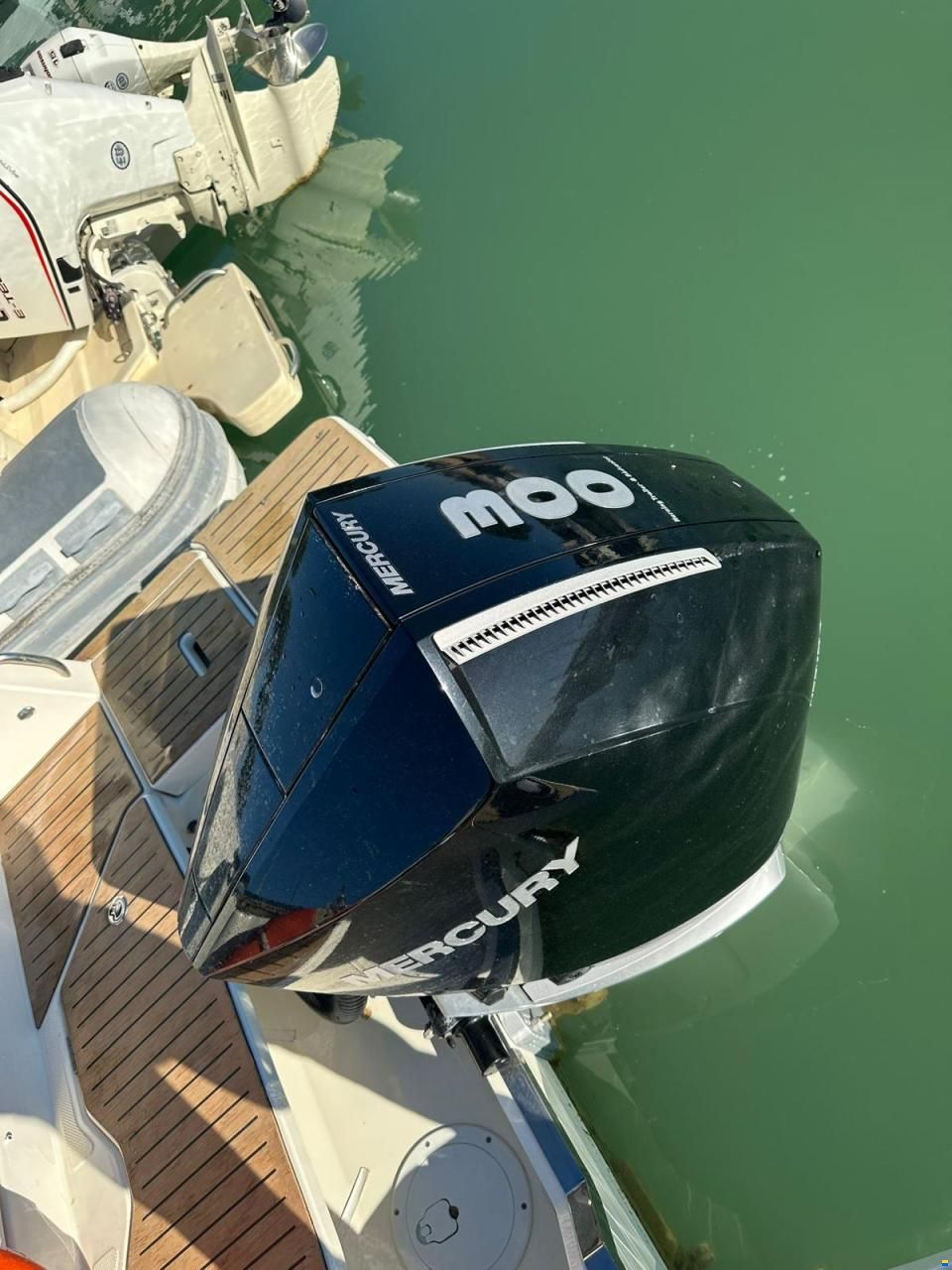 Quicksilver Activ 805 Cruiser