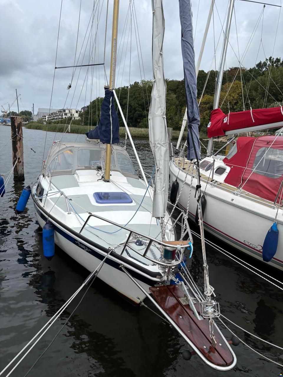 Gouteron Ghibli 22