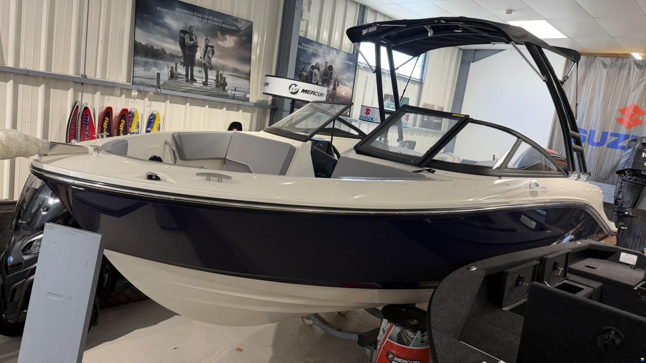 Bayliner V20