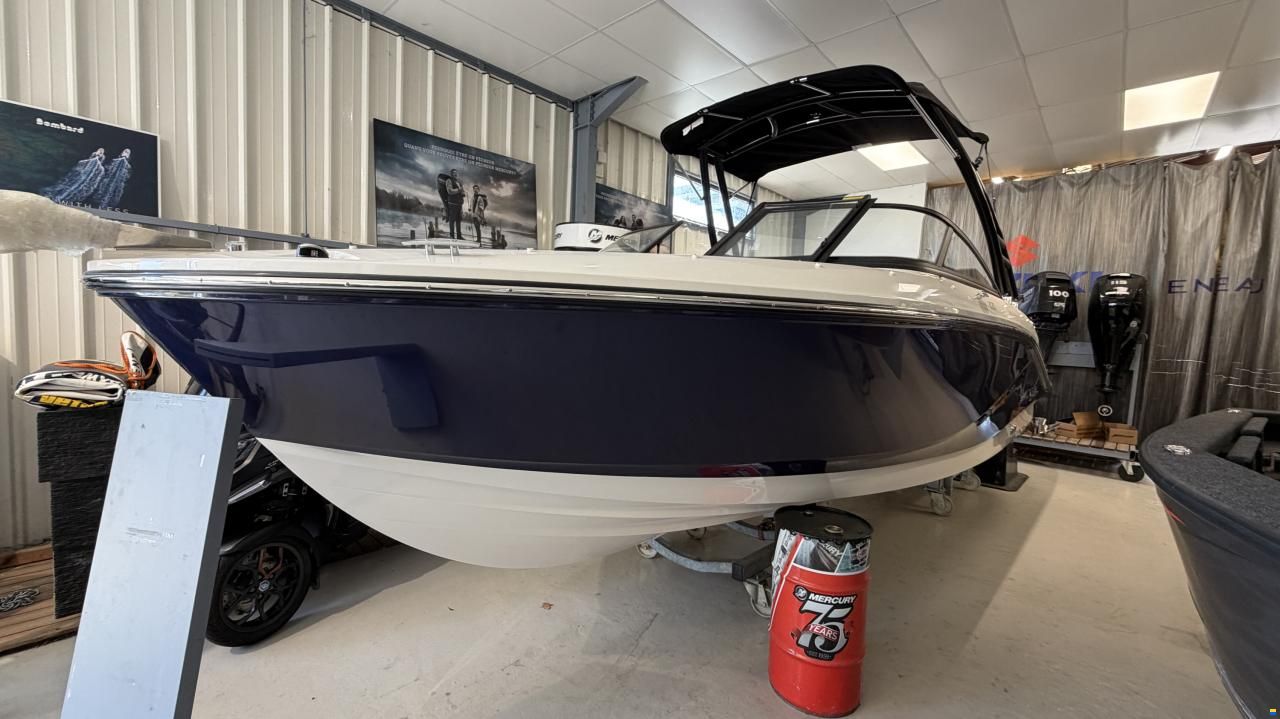 Bayliner V20