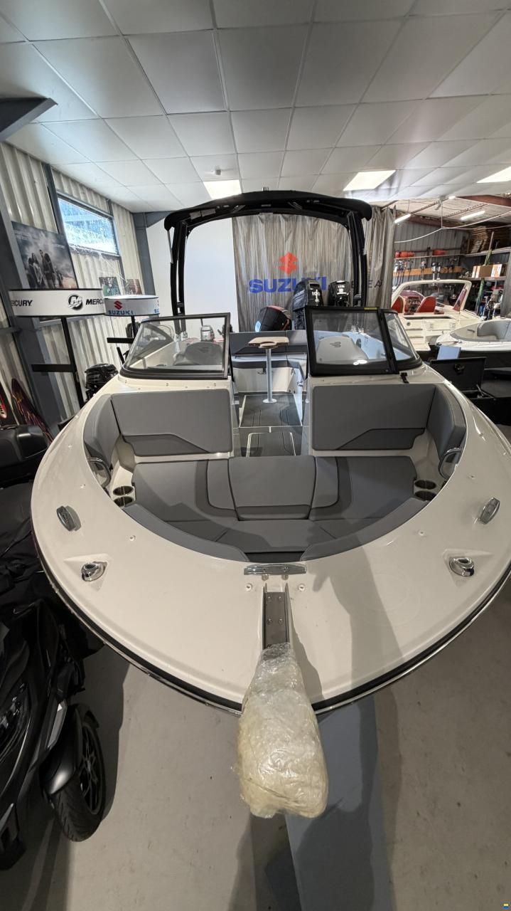 Bayliner V20