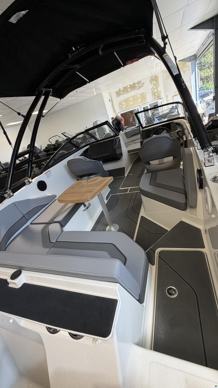 Bayliner V20