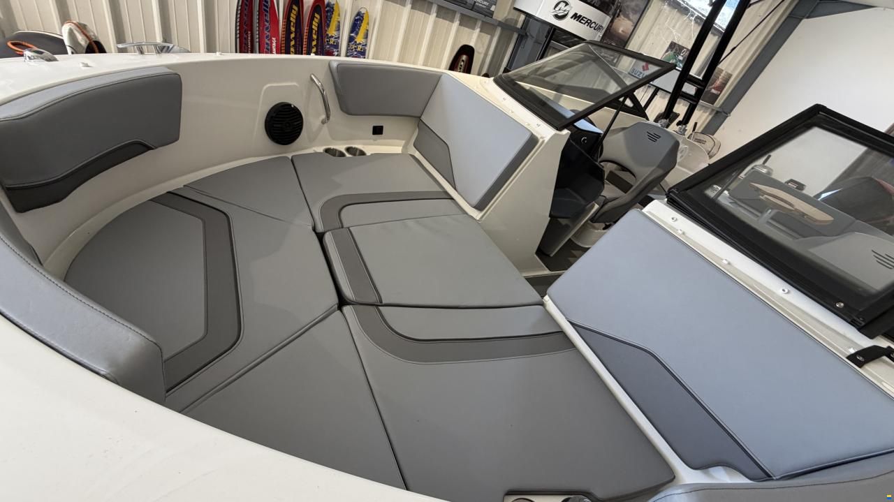 Bayliner V20