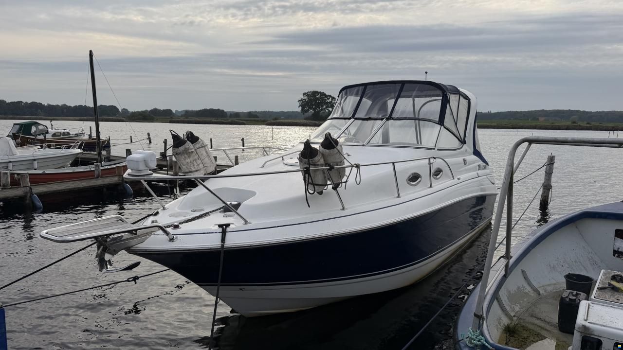 Larson 260 Cabrio