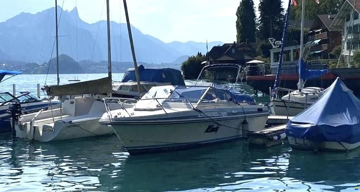 MerCruiser Windy 23 FC 84
