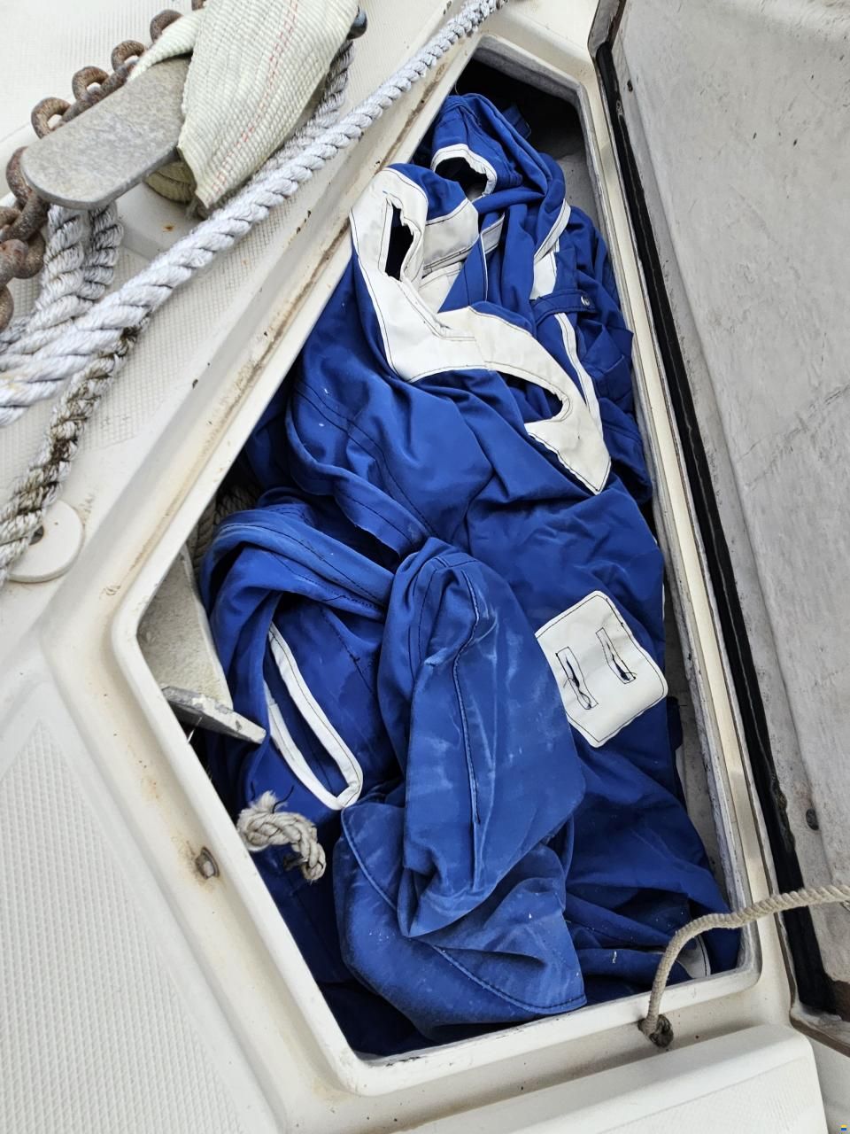 Amel Mango 52