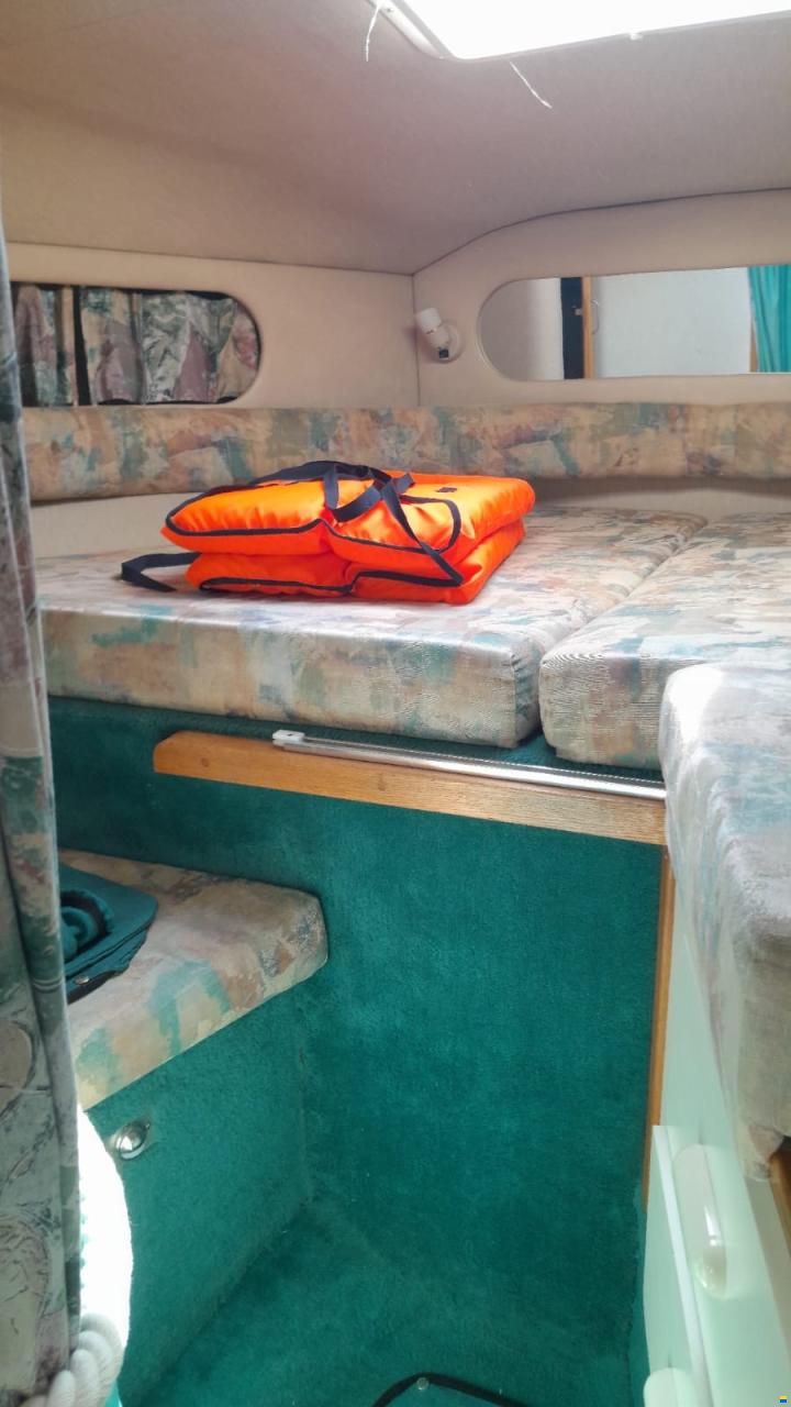 Sea Ray 290 Sundancer
