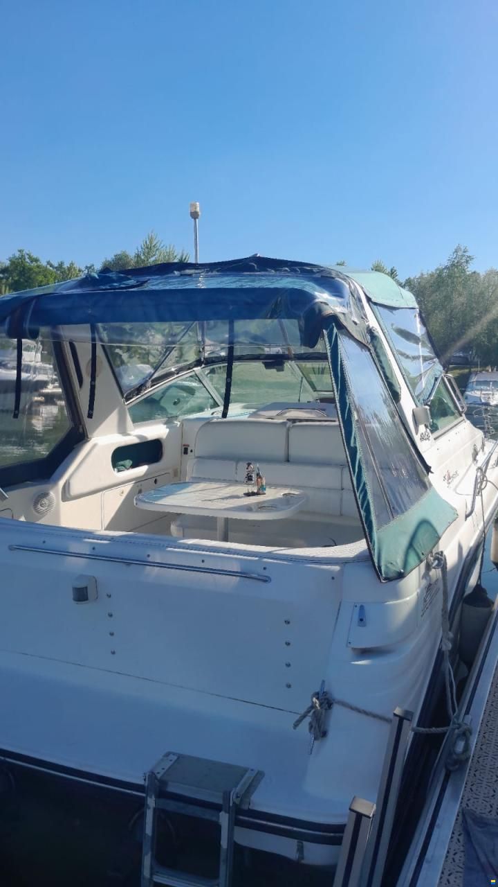 Sea Ray 290 Sundancer