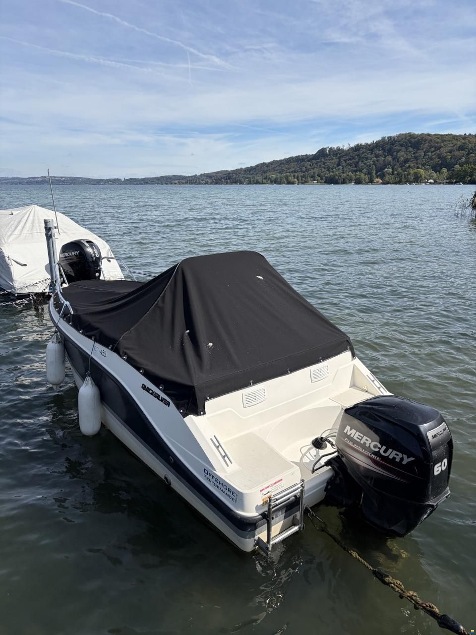 Quicksilver 455 Open