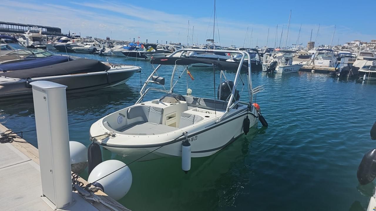 Bayliner Element M17