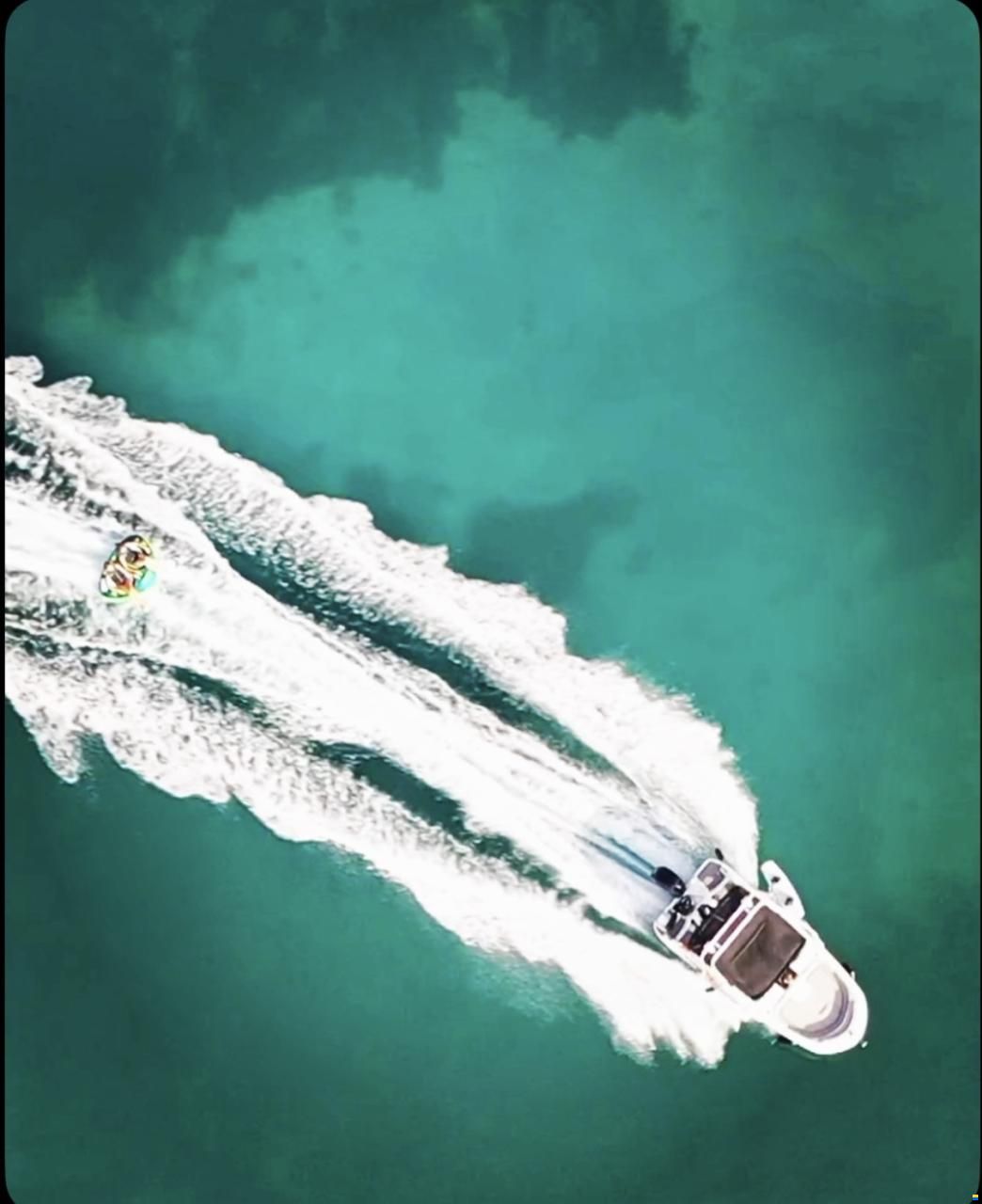 Bayliner Element M17